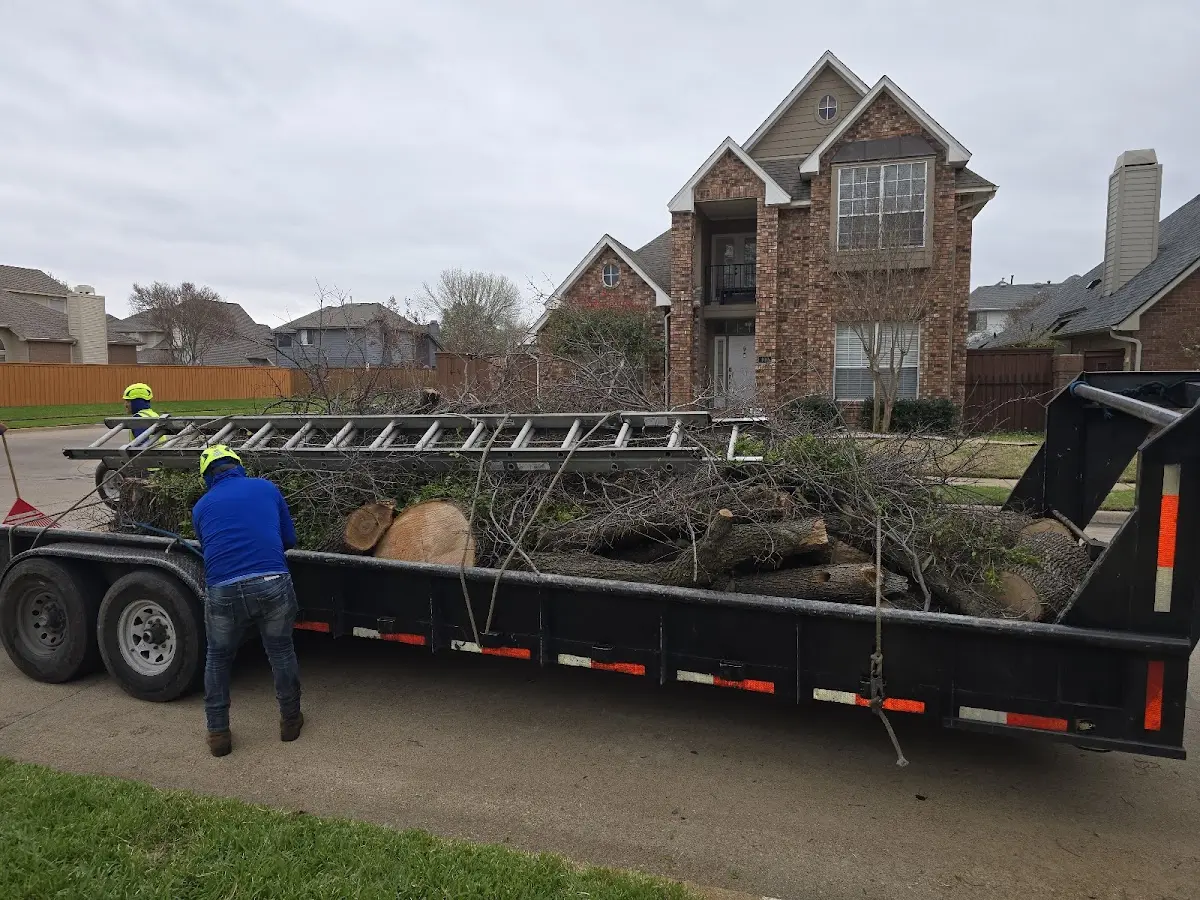 Expert Lot Clearing with proper safety equipment in Kite